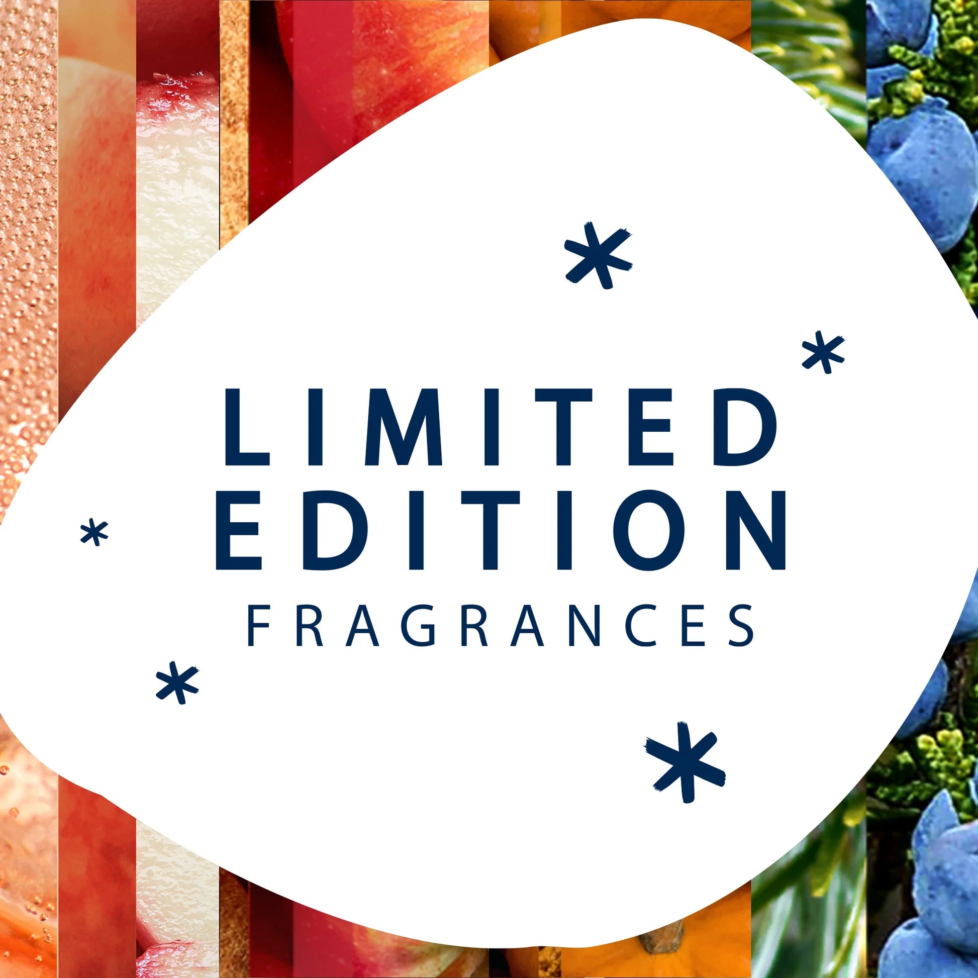 Automatic Spray Refill, Air Freshener, Twinkling Pine & Cedar, Fragrance Infused with Essential Oils, 6.2 Oz